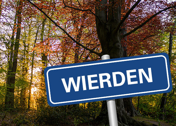 Winkelpagina | Wierden