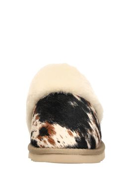Collie
