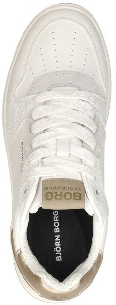 T2700 LEA - large