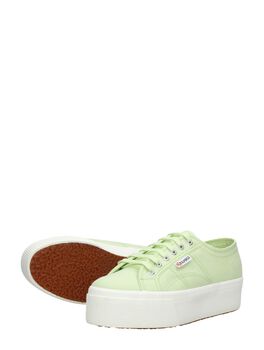 2790 Cotw Linea