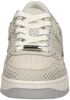 Campo Low Lux - small