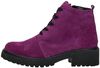 H-Luise - small