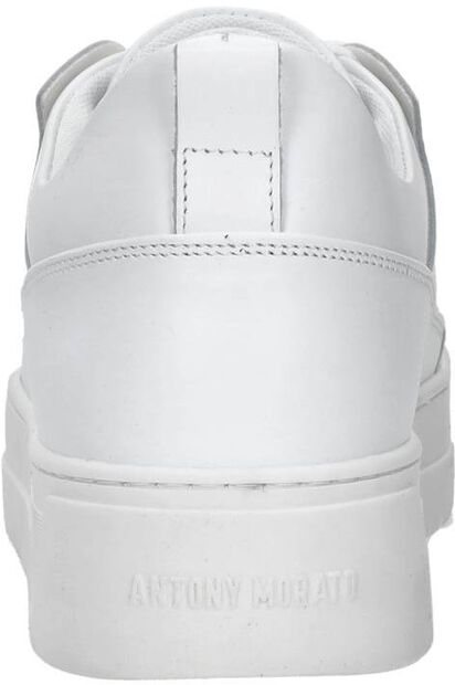 Schnürschuhe low - large