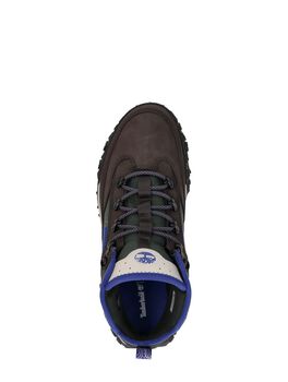 GreenStride Motion