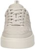 Endorsed Tennis - small