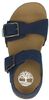 Castle Island 2 Strap - small