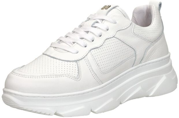 Sneaker low - large