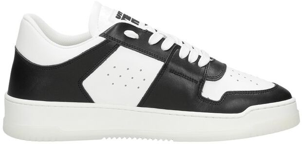 Supernova Low - large