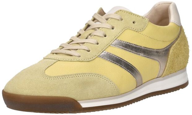 Sneakers Laag - large