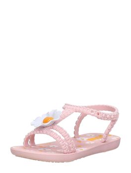 Gänseblümchen Baby