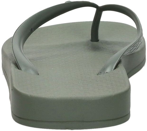 Anatomic Colors - large