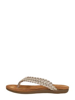 Flip-Flops