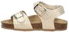 Pepita 6 - small