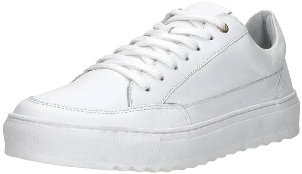 Sneaker low - large