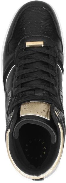 Campo High Lux - large