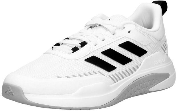 Trainer V - large