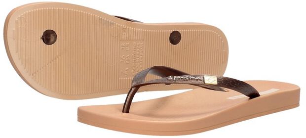 Anatomic Brasilidade - large