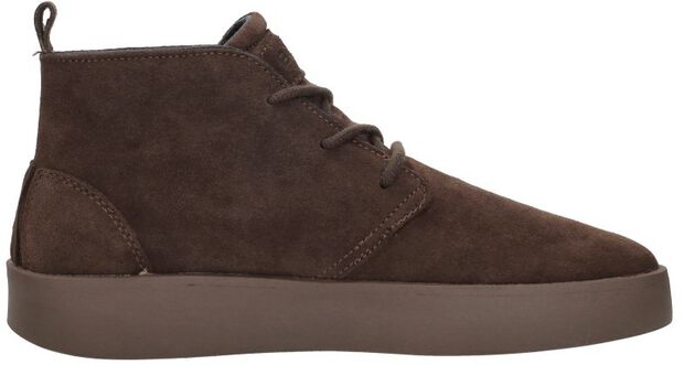 Desert Chukka - large