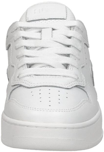 Smash L31 - large