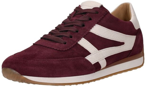 Sneakers Laag - large