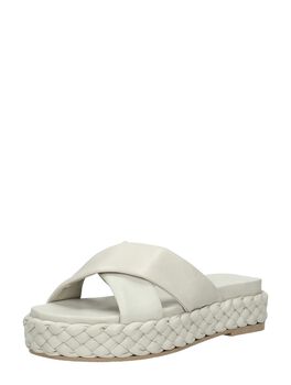 SHS1365