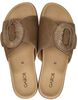 Open Teen - small