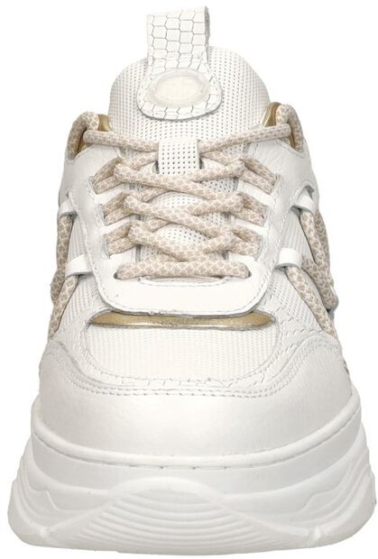 Schnürschuhe low - large