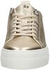 Women Low Cut Sneaker - small