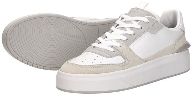 Surefire Tennis - large