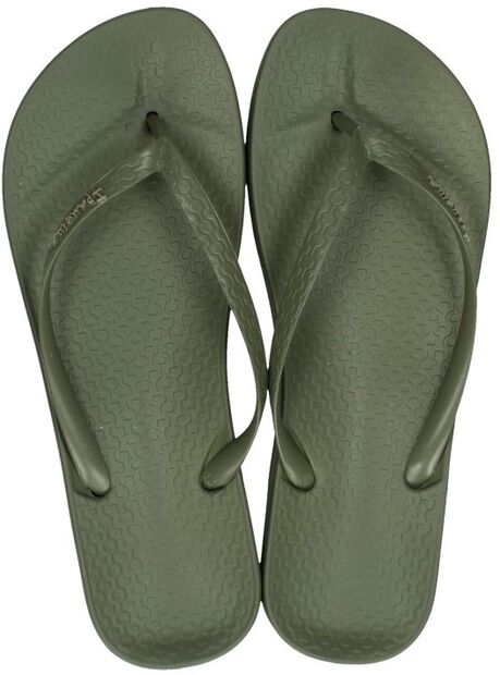 Anatomic Tan Colors - large