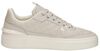Endorsed Tennis - small