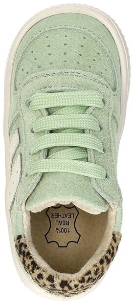 Extreme Flex - large