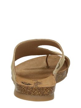 Flip-Flops