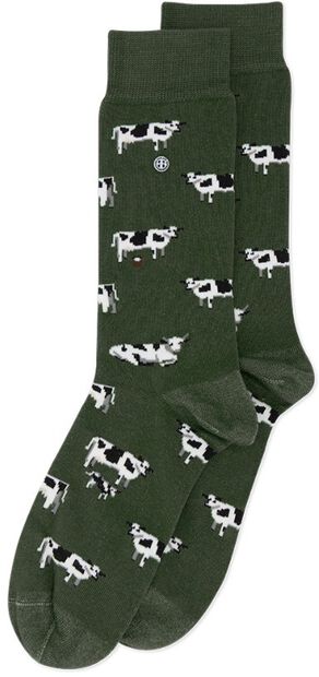 Cows - large