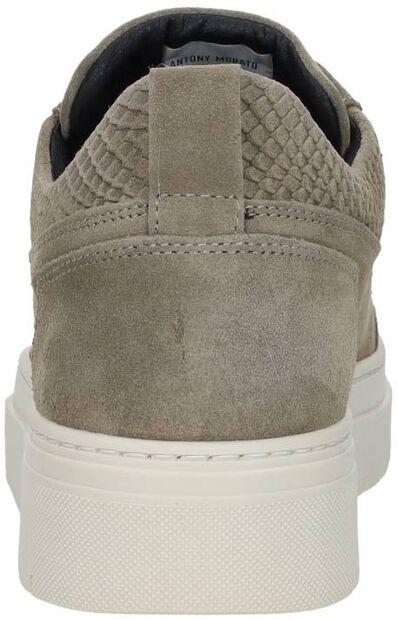 Schnürschuhe low - large