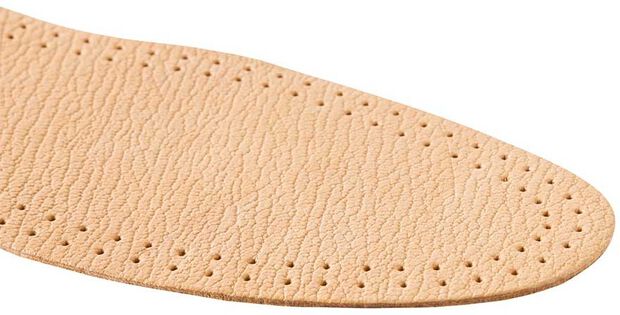 Leather Active - large