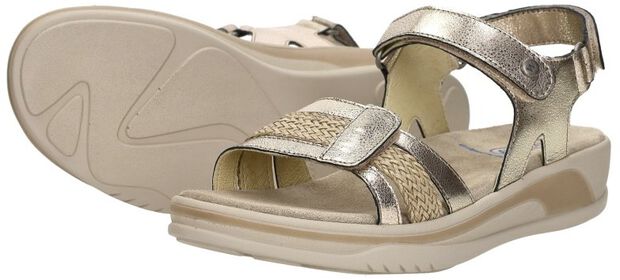 Fantom Elite - large