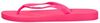 Anatomic Colors - small
