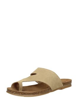 Flip-Flops