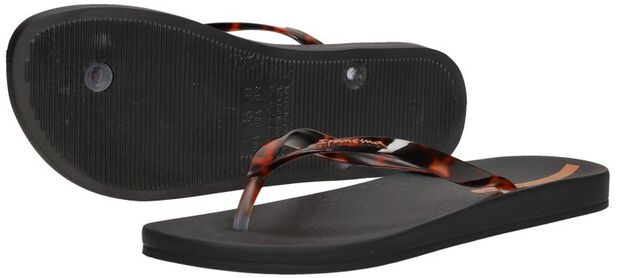 Anatomic Connect - large