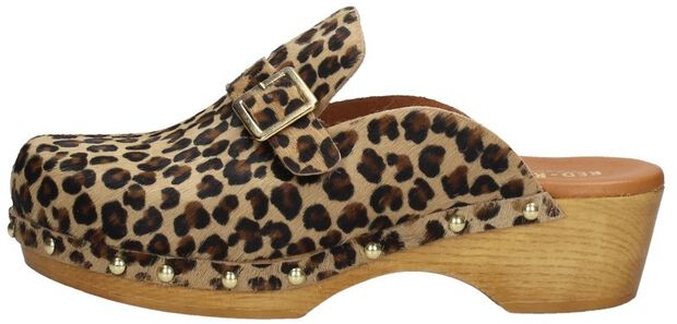 Clogs - large