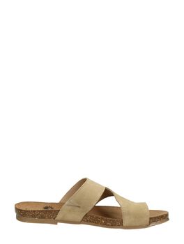 Flip-Flops