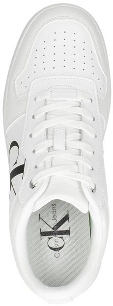 Cupsole Laceup Basket Low LTH - large