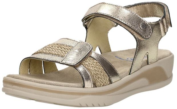 Fantom Elite - large