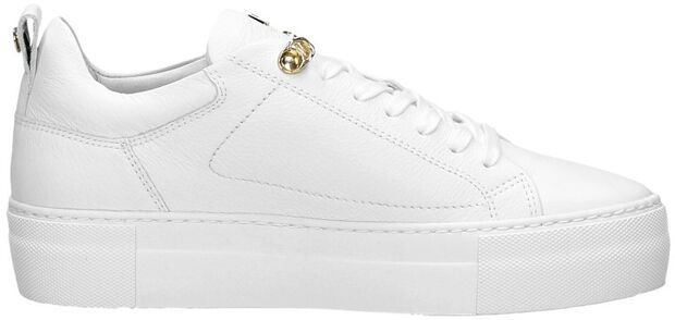 Women Low Cut Sneaker - large
