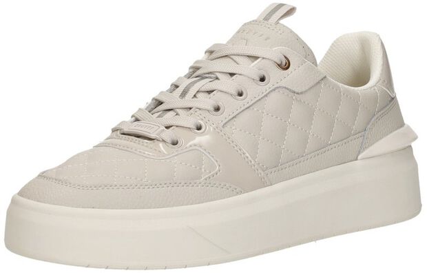 Endorsed Tennis - large