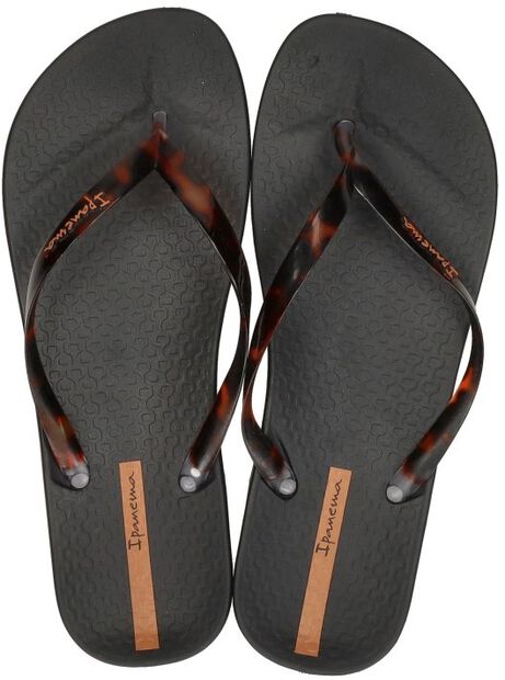 Anatomic Connect - large