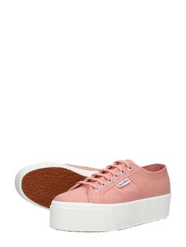 2790 Cotw Linea