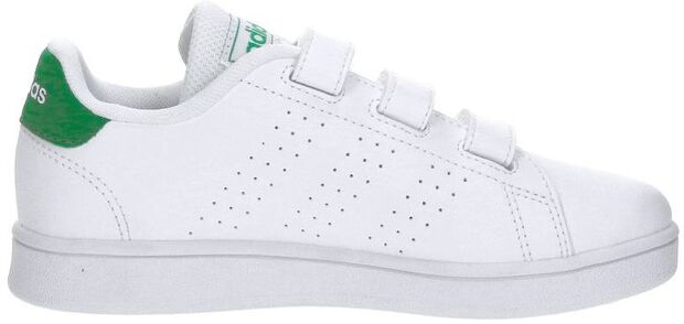 Advantage CF C - large