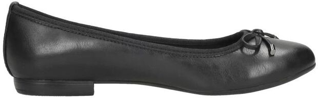 Ballerinas - large